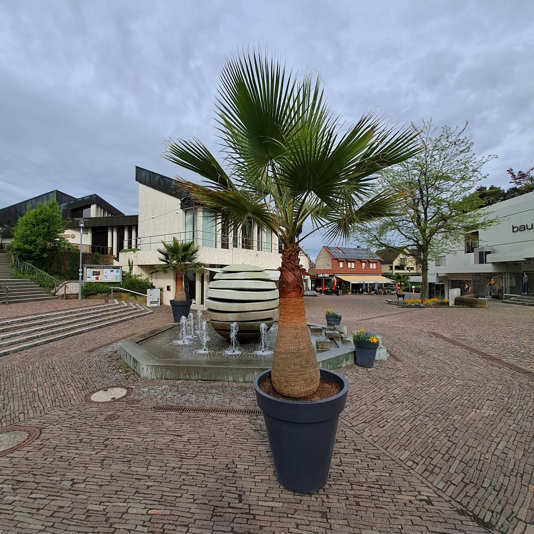 Bad Rappenau
