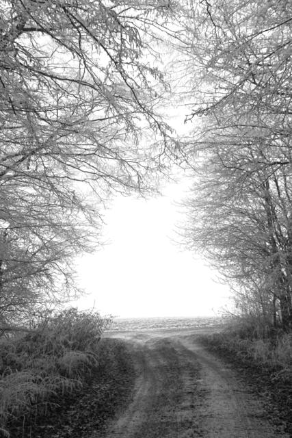 Eisiger Spaziergang ❤️ | Foto: Steph 