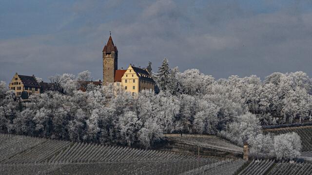 Schloss Stocksberg (22. Januar 2025) | Foto: ehw