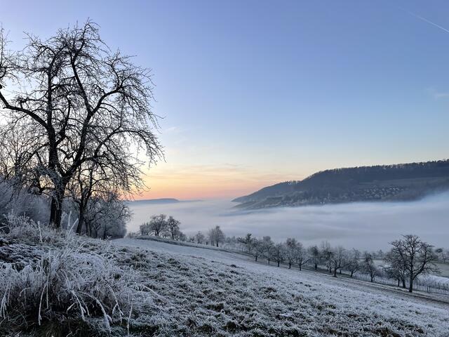 Nebelmeer im Steinbacher Tal | Foto: P. Welisch