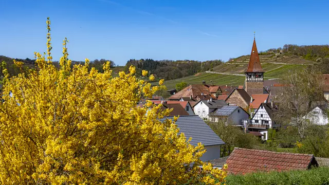 12. April 2025 | Foto: ehw