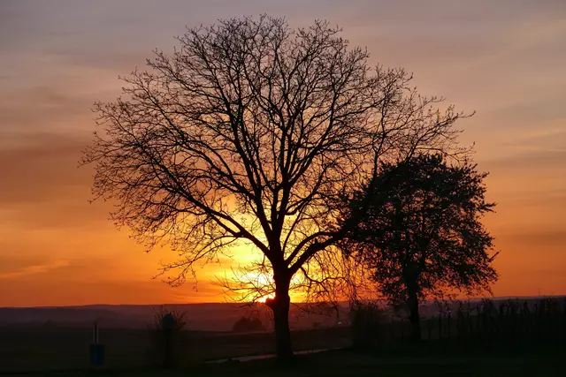 Die Trockenphase verabschiedet sich mit einem schönen Sonnenuntergang bei Baumerlenbach. Der angekündigte Wetterwechsel wird wohl den erhofften Regen in den nächsten Tagen nicht in ausreichender Menge bringen. | Foto: Rolf Mugele