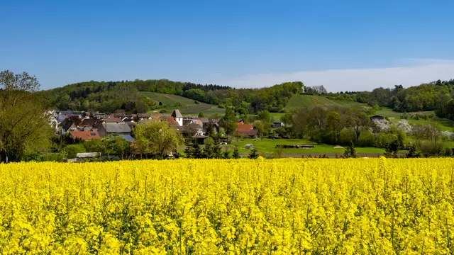 23. April 2025 | Foto: ehw