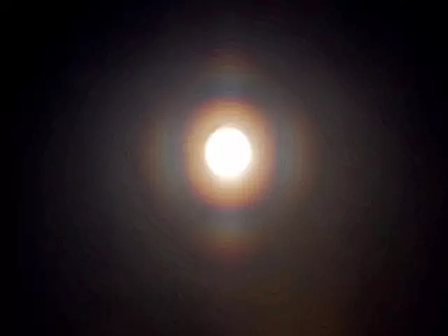 Die Ringe sind heute in Regenbogenfarben. | Foto: Heidrun Rosenberger 