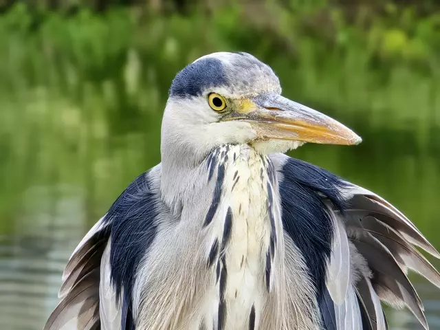 Foto: Heidrun Rosenberger 