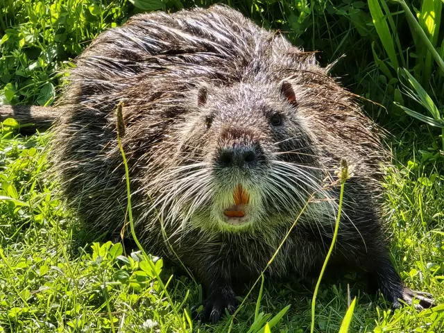 Wer hat hier was von Zahnarzt gesagt? | Foto: Heidrun Rosenberger 