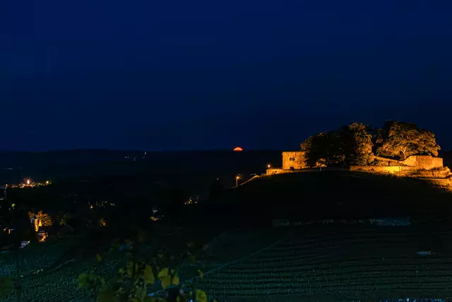 Foto: Rolf Schieren