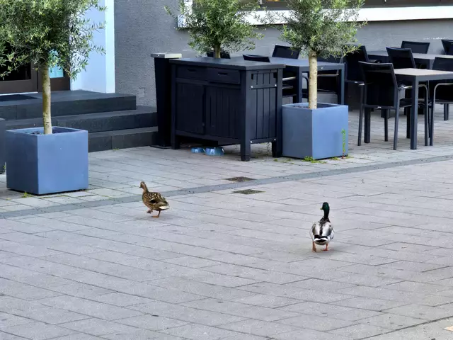 In der Neckarmeile in Heilbronn  | Foto: Heidrun Rosenberger 
