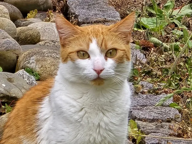 Foto: Heidrun Rosenberger 