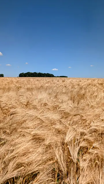 Foto: Eigene Aufnahme