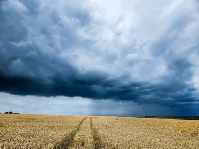 Aufziehender Sommerregen in Zweiflingen | Foto: Stephanie Rüdele