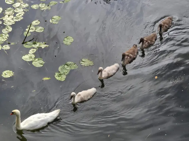 Foto: Heidrun Rosenberger 