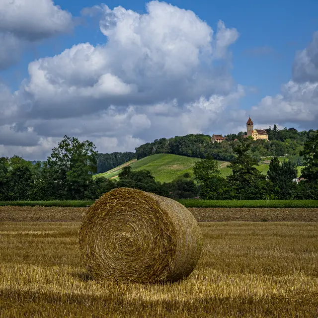 9. Juli 2025 * Mit Schloss Stocksberg  | Foto: ehw
