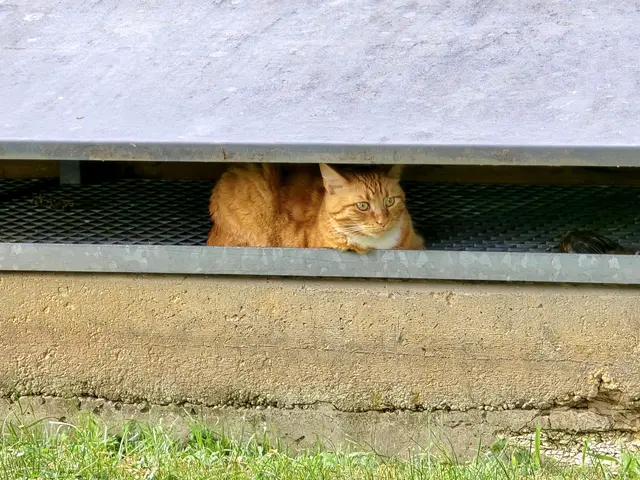 alles muss versteckt sein 🫣 | Foto: Heidrun Rosenberger