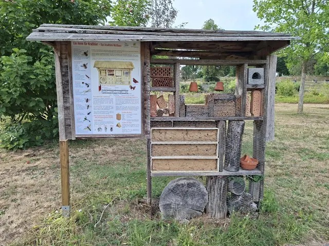 Wohnung zu verschenken🐝🐛🐜🪲🪳🕷️🦟 | Foto: Ralf Röser