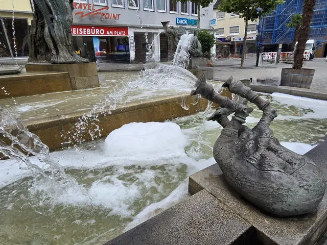 Spült im Musikantenbrunnen. | Foto: Heidrun Rosenberger 