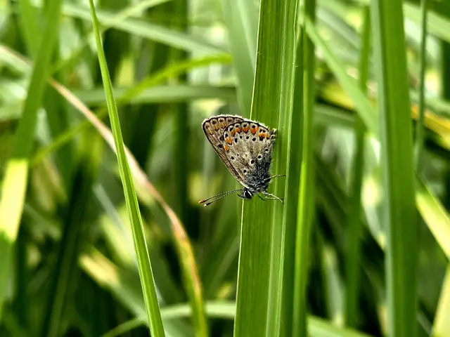 Foto: Heidrun Rosenberger 