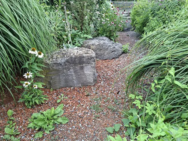 Bad Rappenau- Kurpark | Foto: Ralf Röser