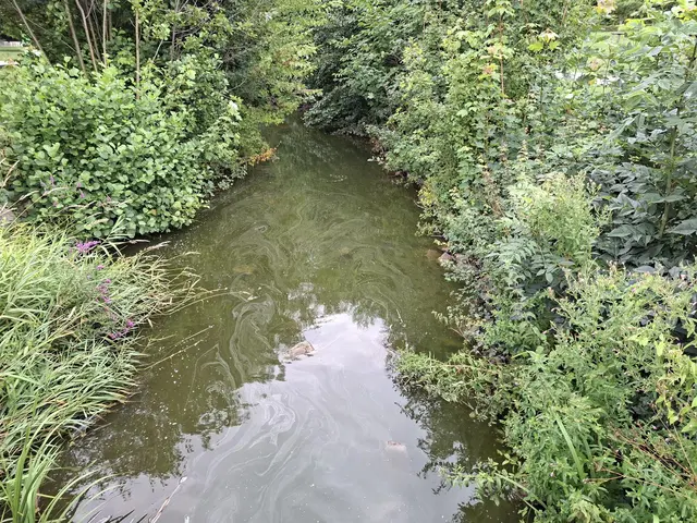 Bad Rappenau- Kurpark | Foto: Ralf Röser