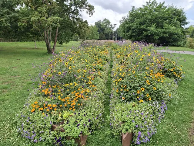 Bad Rappenau- Kurpark | Foto: Ralf Röser