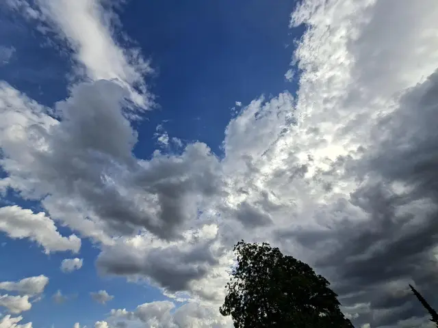 Bad Rappenau 29.07. 17:45 | Foto: Ralf Röser