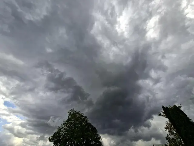 Bad Rappenau 29.07. 17:50 | Foto: Ralf Röser