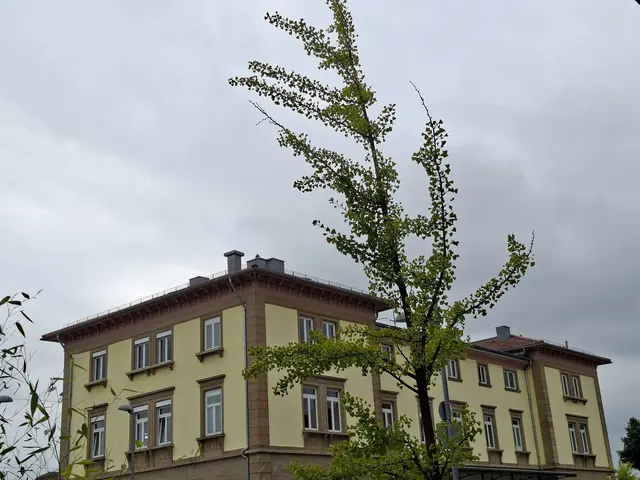 Bahnhof Bad Rappenau | Foto: Ralf Röser