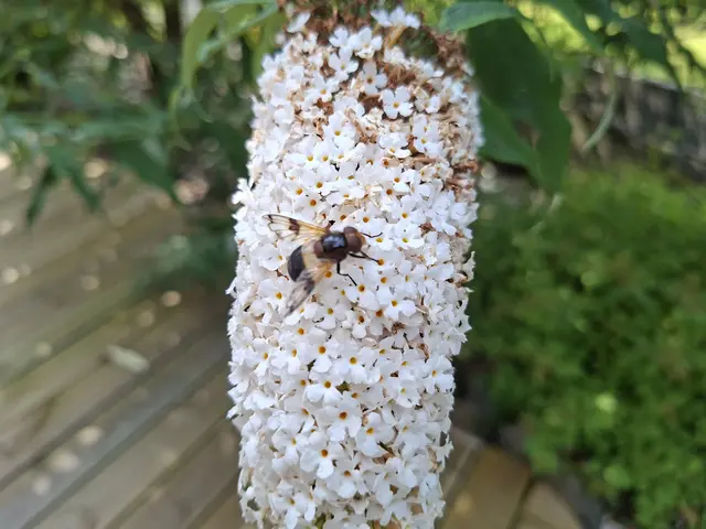 hinterm Haus | Foto: Ralf Röser