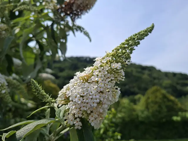 hinterm Haus | Foto: Ralf Röser