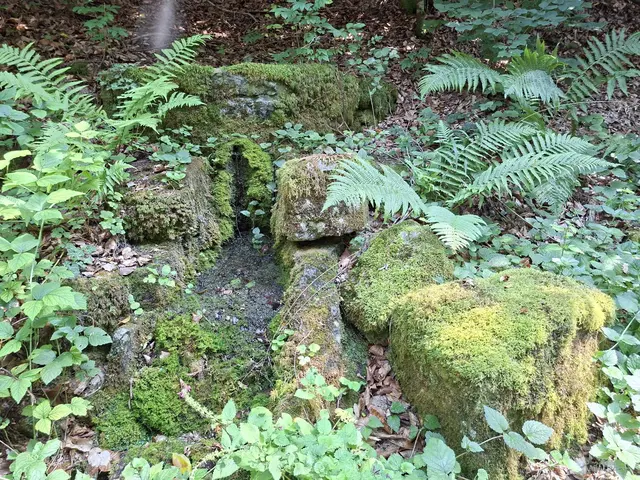kleines verstecktes Brünnlein | Foto: Ralf Röser