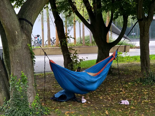 zwischen den Bäumen vor der Experimenta.  | Foto: Heidrun Rosenberger 