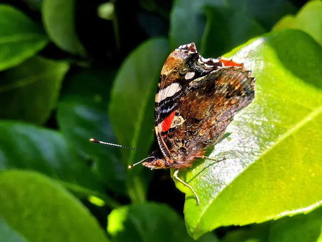 Foto: Heidrun Rosenberger 