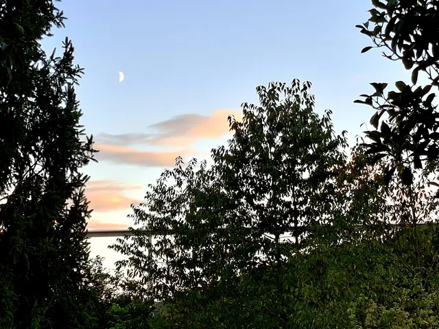 Blick von der Terrasse aus🌛 | Foto: Ralf Röser
