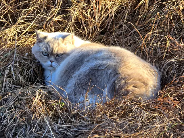 Foto: Heidrun Rosenberger 
