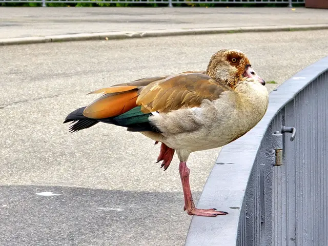 wo stehe ich hier? | Foto: Heidrun Rosenberger 