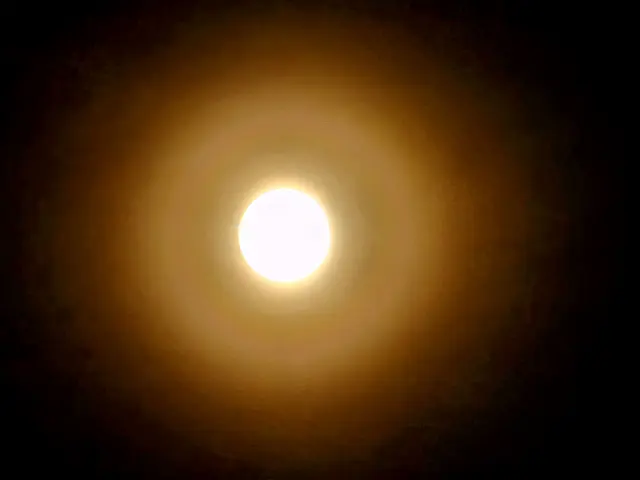 Foto: Heidrun Rosenberger 