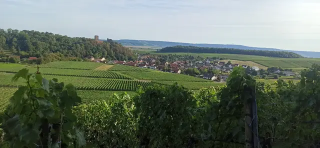 Neipperg im September | Foto: TuG "Eintracht" Neipperg