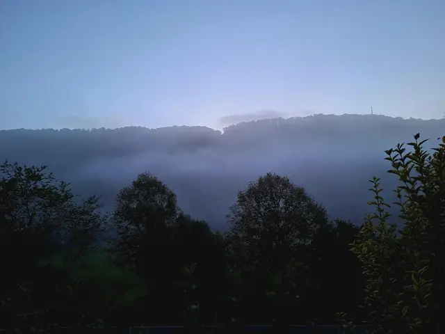 Herbststimmung | Foto: Ralf Röser