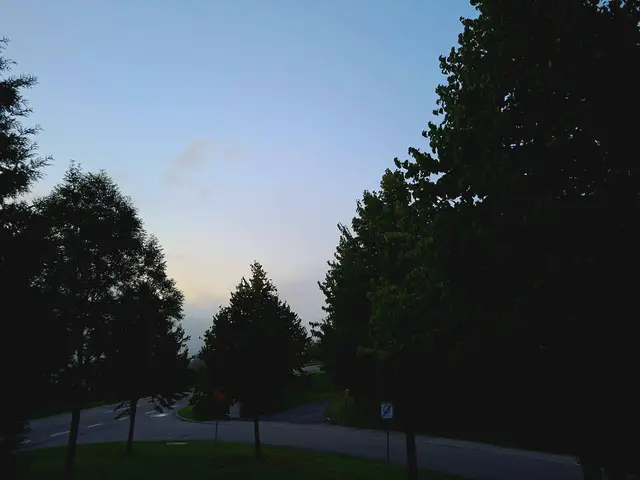 Herbststimmung | Foto: Ralf Röser