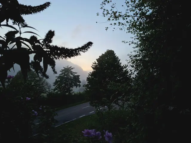 Herbststimmung | Foto: Ralf Röser