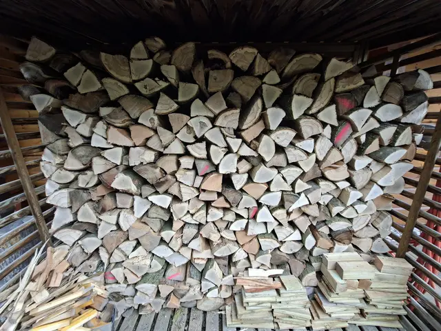 Sodele, wieder Holz vor der Hüttn🪵🪵👍👍🦾🦾 | Foto: Ralf Röser