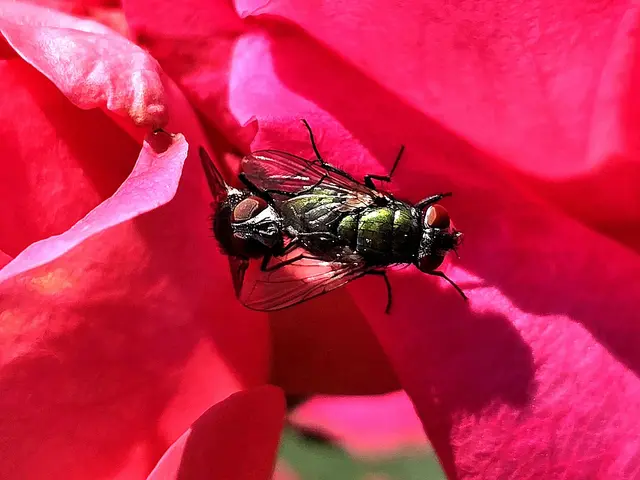 schon erwachen erneut die Frühlingsgefühle. | Foto: Heidrun Rosenberger 