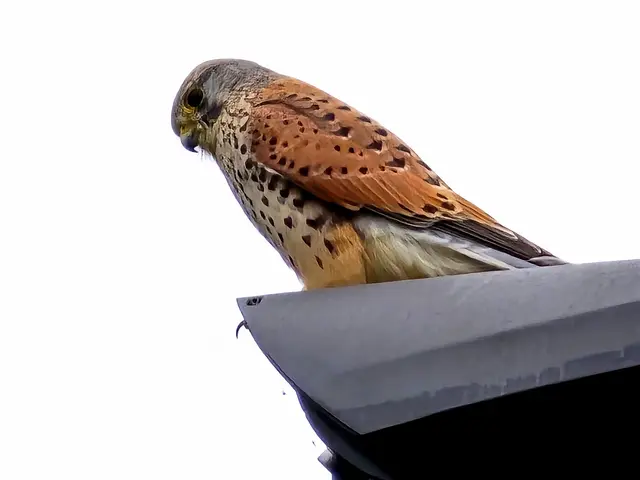 Er hat Jacky und mich überhaupt nicht wahrgenommen.  | Foto: Heidrun Rosenberger 