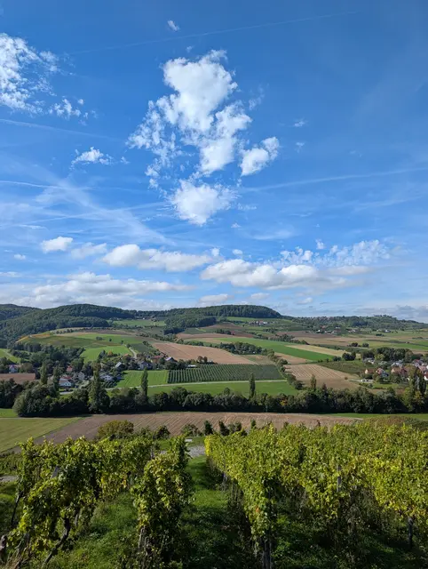 s'schöne Ländle | Foto: Sarah Krcmar