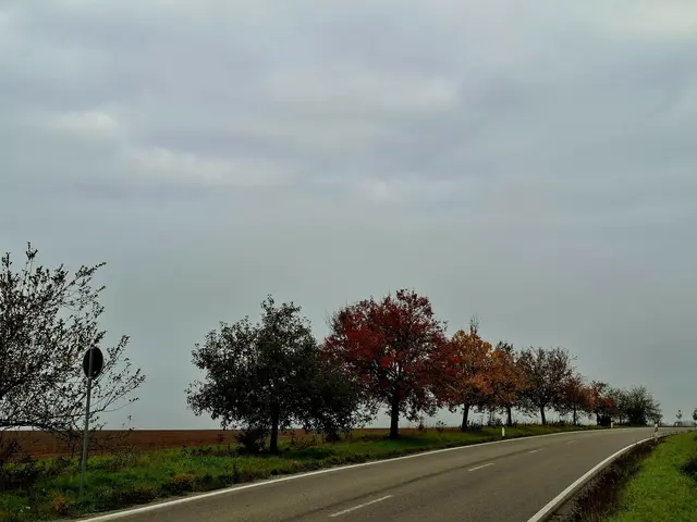 schöne Farben | Foto: Ralf Röser