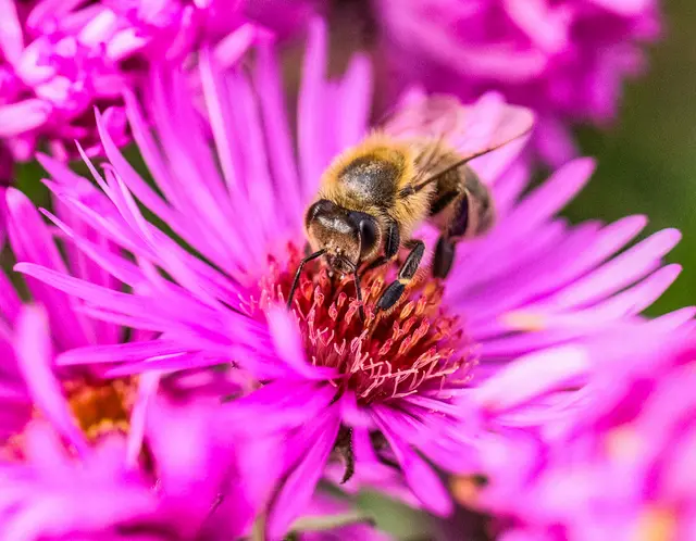 Foto: Stephanie Rüdele 