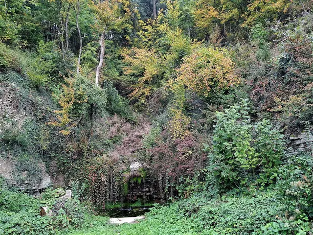 einfach schön | Foto: Ralf Röser