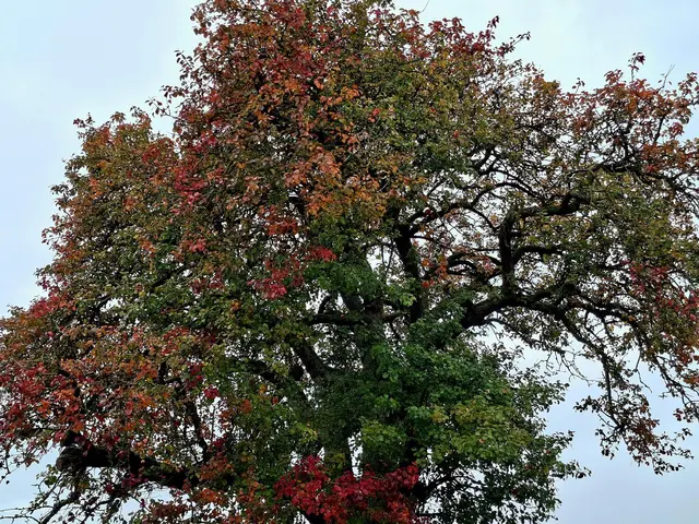schöne Farben | Foto: Ralf Röser