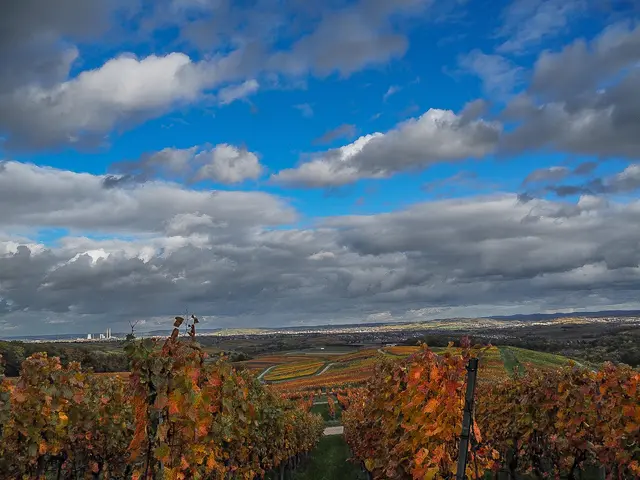Blick vom Aspen in Nordhausen auf Heilbronn  | Foto: Hansjörg sept