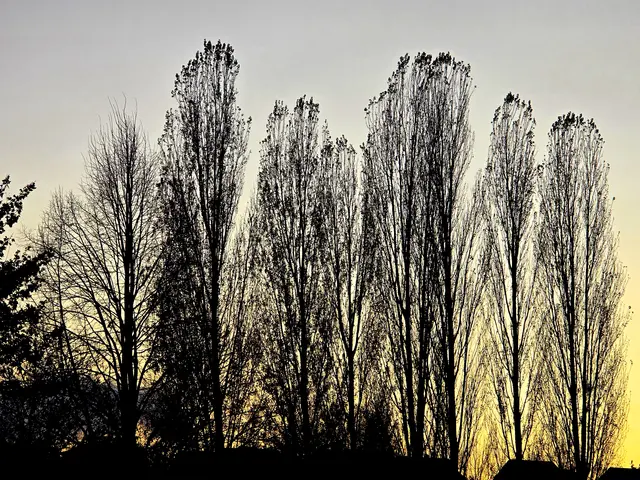 Foto: Heidrun Rosenberger 